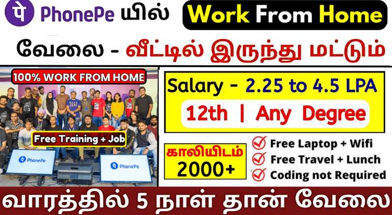 Latest Phonepe Work From Home Jobs 2025