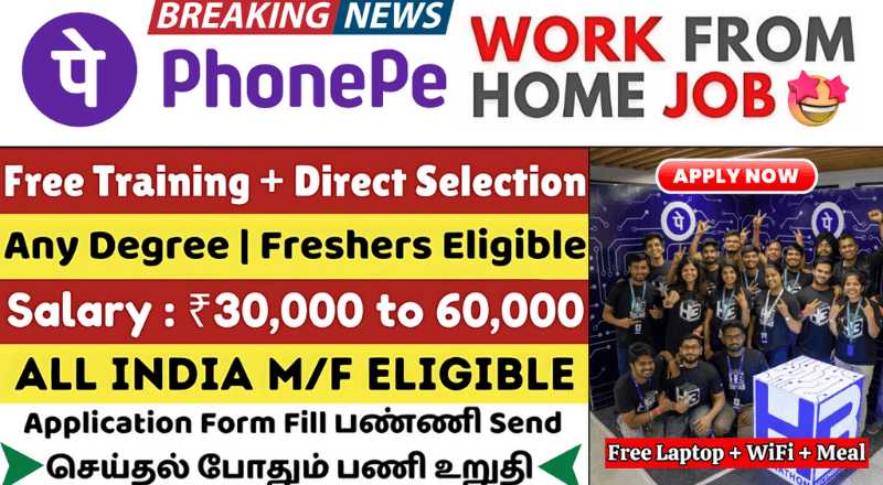 Phonepe Social Media Work From Home Jobs 2025