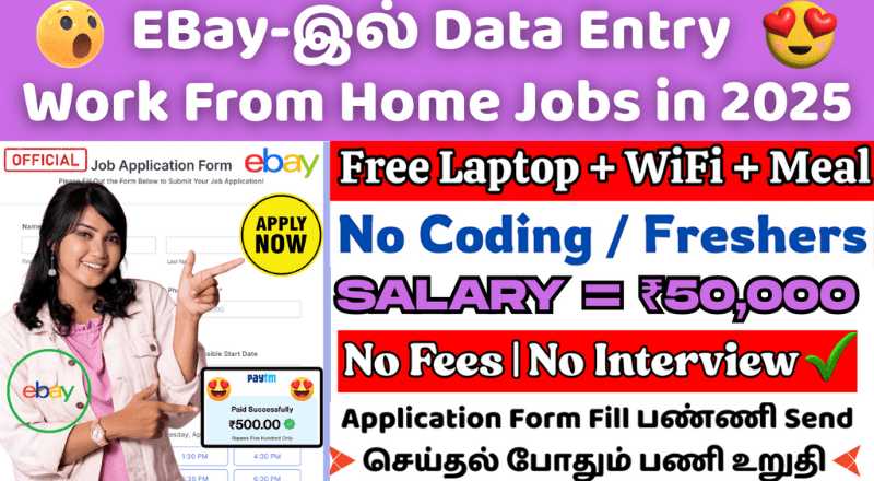 Ebay Warehouse Manager Work From Home Jobs 2025