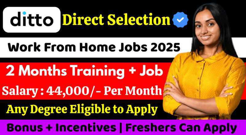 Ditto Customer service executive Work From Home Jobs