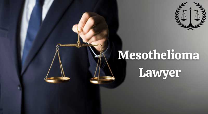 Indispensable Role of a Mesothelioma Lawyer: Navigating the Complexities of Asbestos Litigation 2025