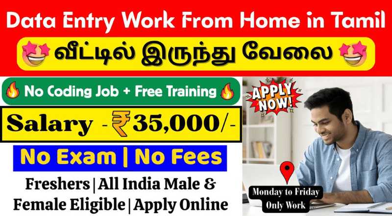 Data Entry Work From Home Jobs 2025