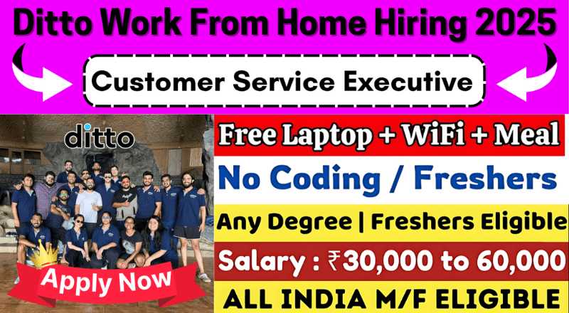 Ditto Customer Service Executive Work From Home Jobs 2025