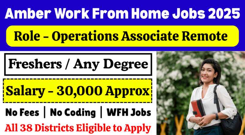 Amber Operations Associate Work From Home Jobs 2025