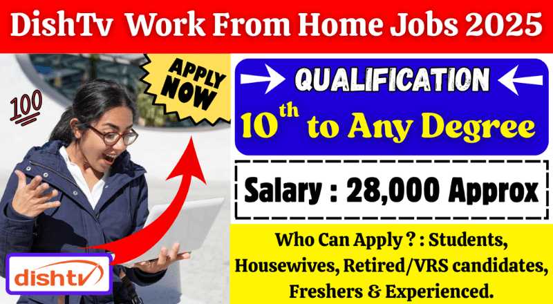 DishTV Work From Home Jobs 2025