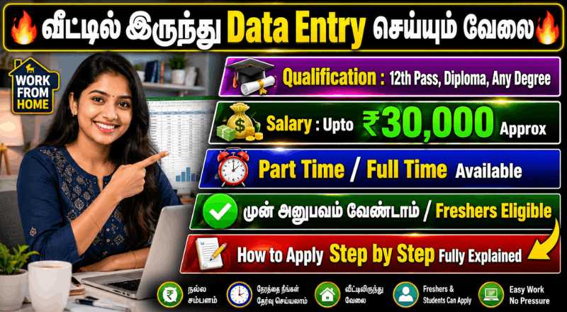 Droisys Data Entry Work From Home Jobs 2026